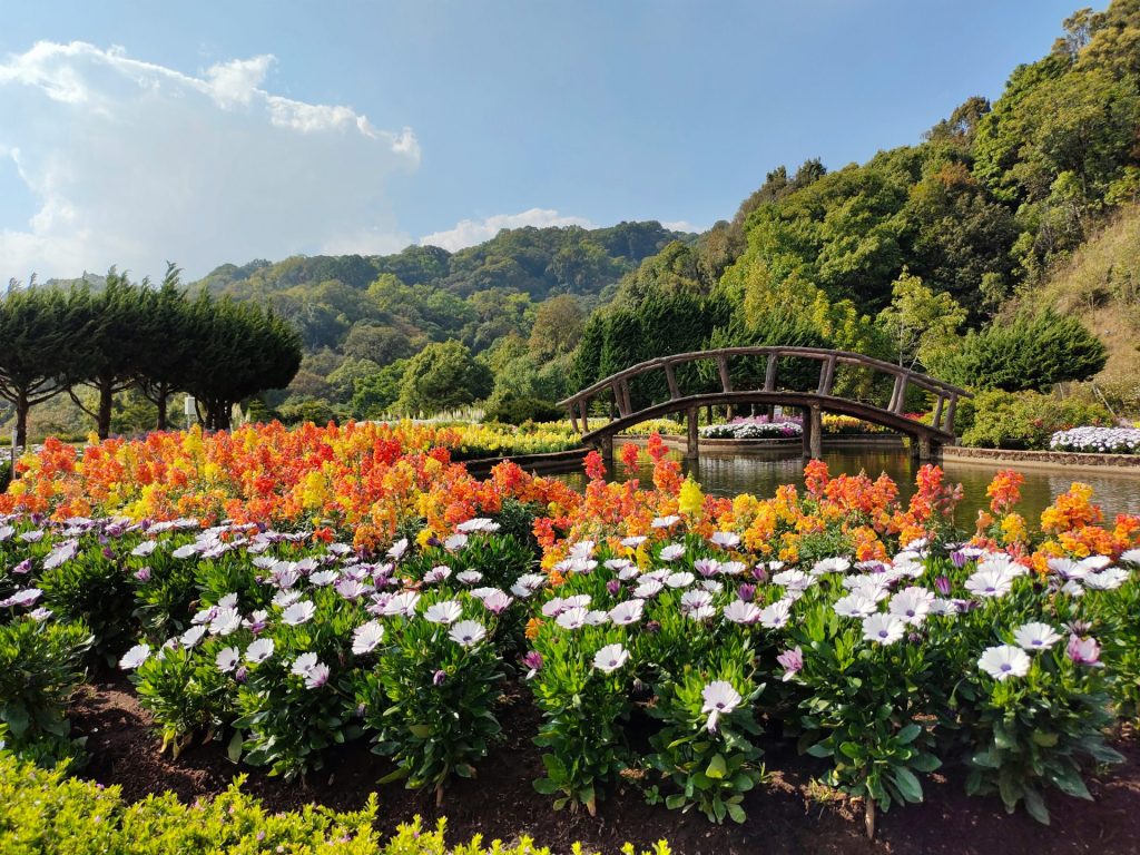 a bridge over a river surrounded by lots of flowers